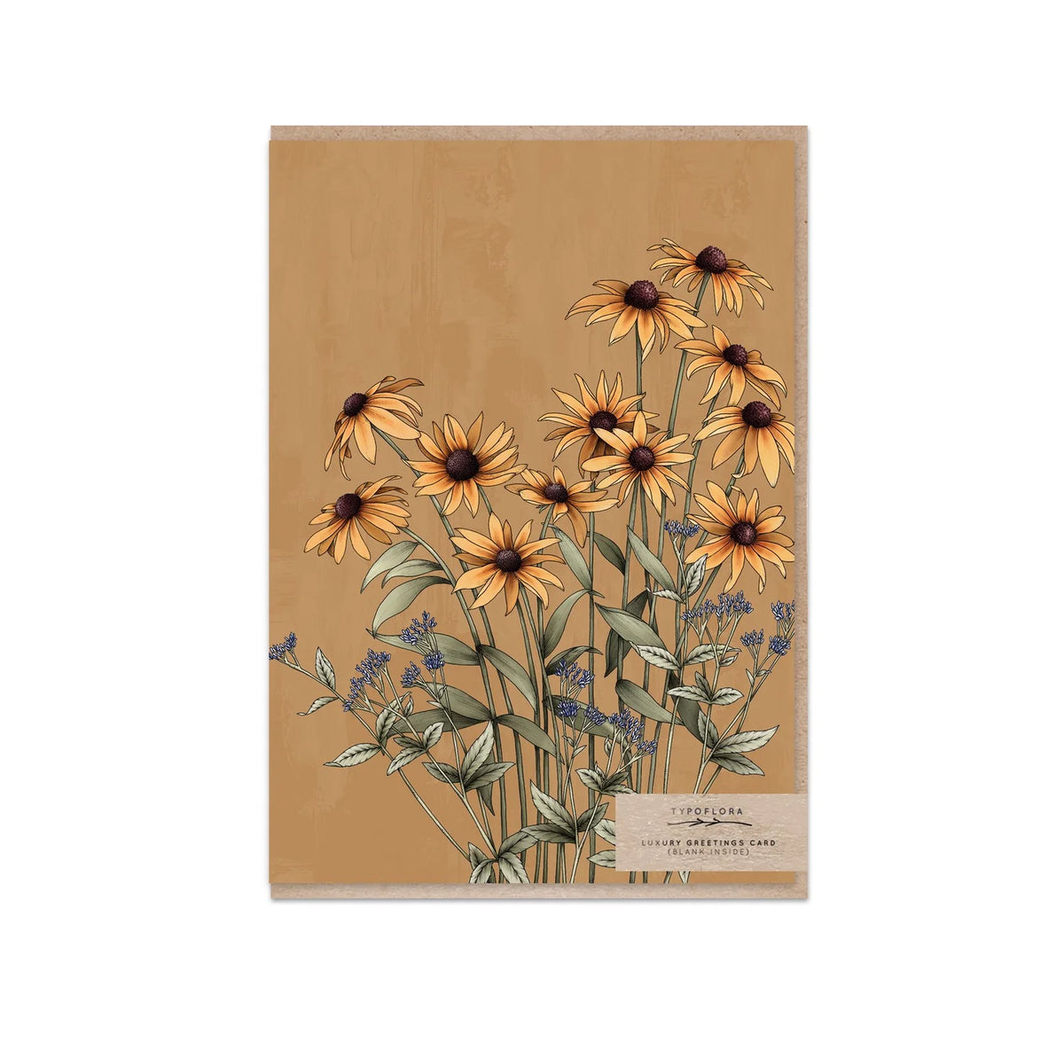 Black Eyed Susan Greeting Card