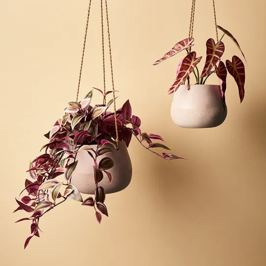 Ceramic Hanging Bowl