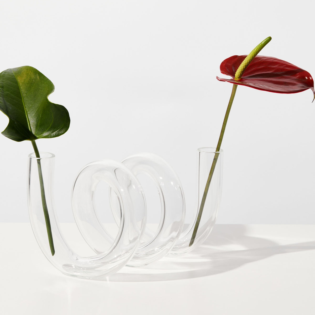 Clear glass vase with two plants, one with a red leaf and the other with green leaves, on a white background.
