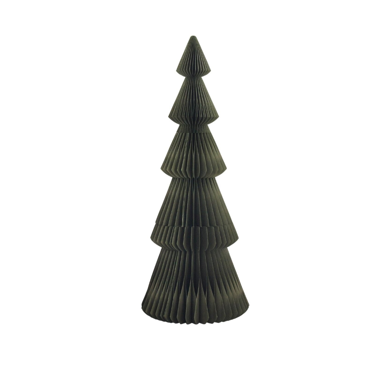 Evergreen Tree Olive 180cm
