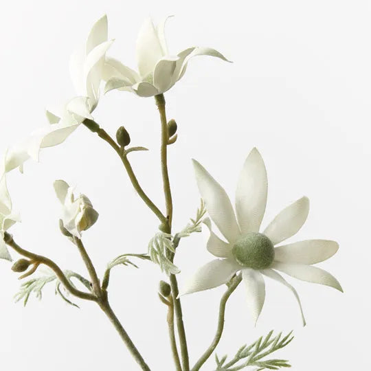 Flannel Flower Pick