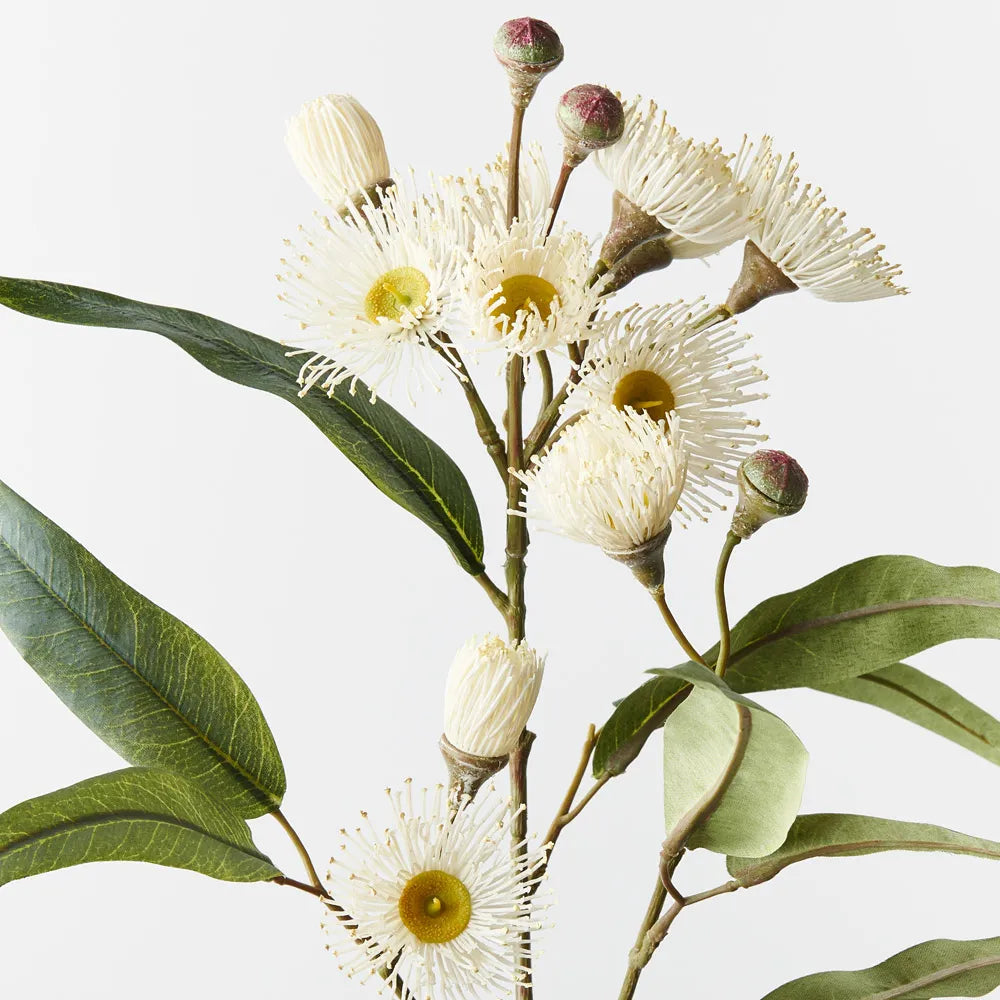 Flowering Eucalyptus Spray