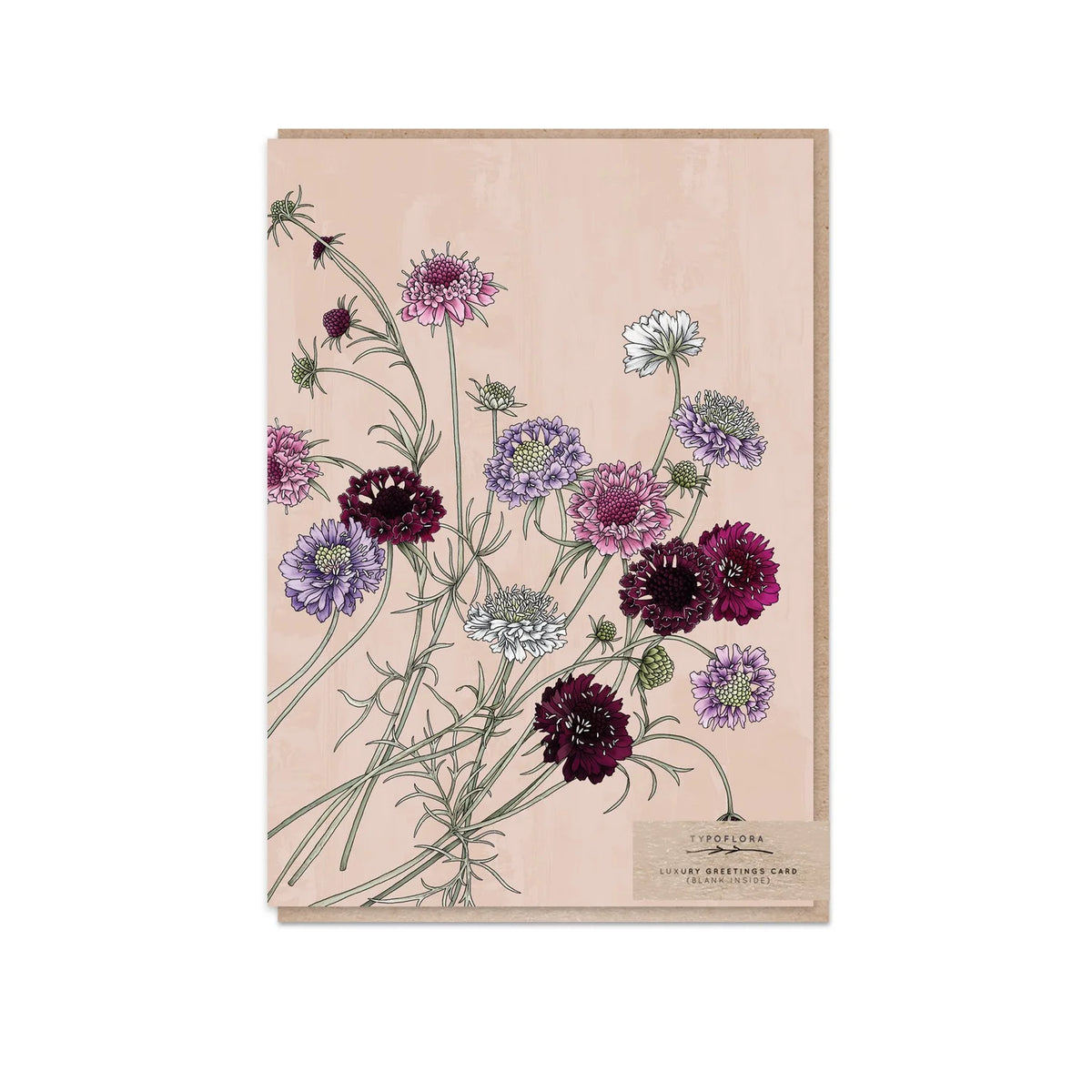 Pincushion Flowers Greeting Card