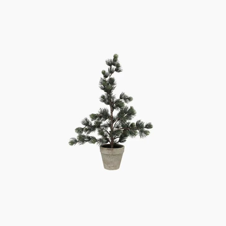 Pine Tree Dusty Green XS