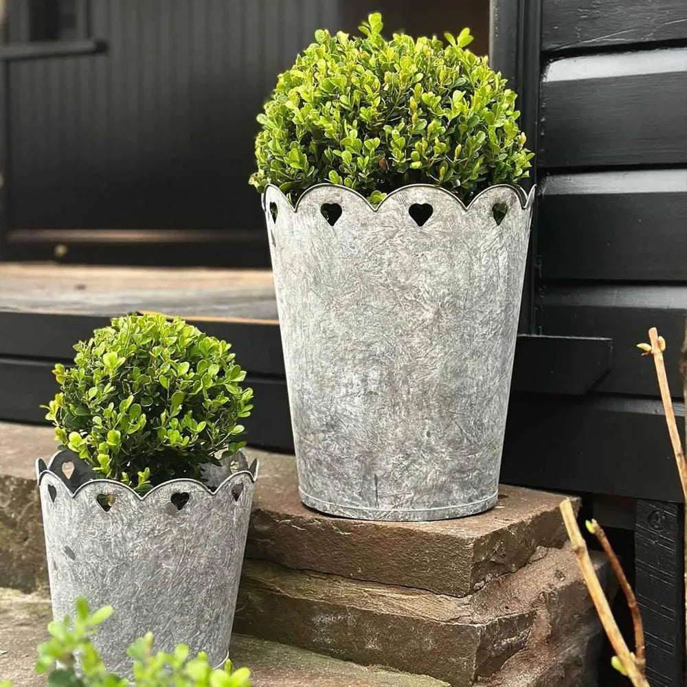 Scalloped Heart Planter
