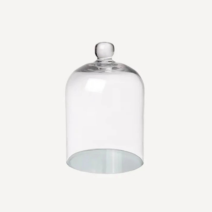 Small Glass Dome