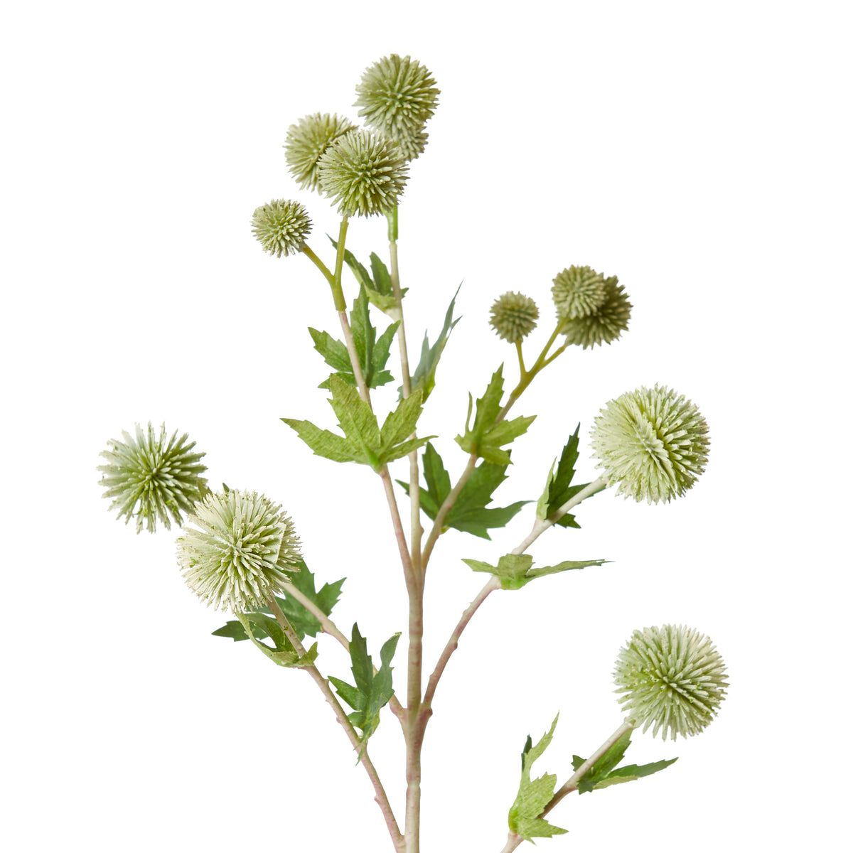Thistle Ball Spray