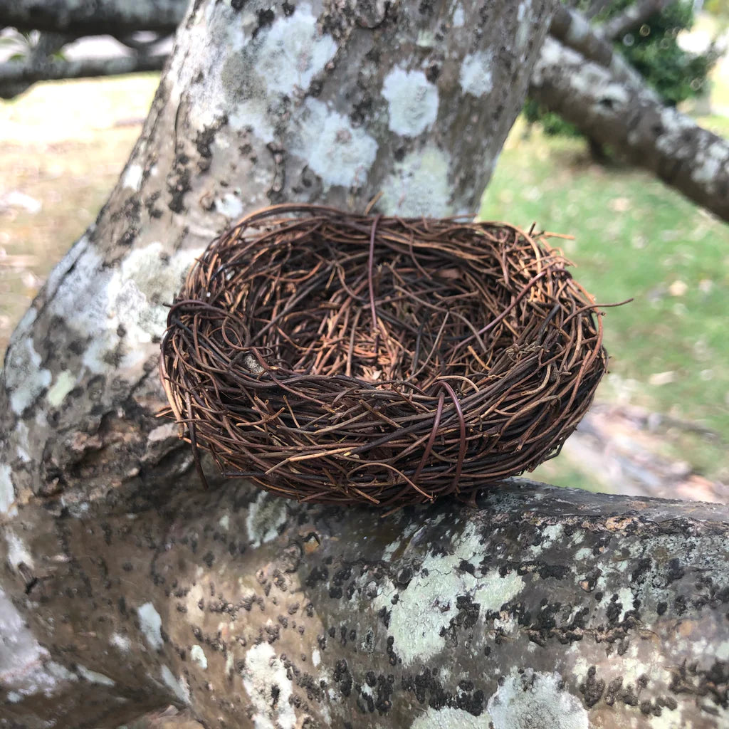 Natural Premium Vine Bird Nest