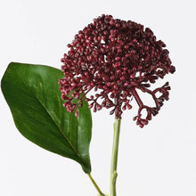 Allium Spray Burgundy