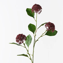 Allium Spray Burgundy