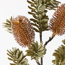 Banksia Spray