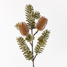 Banksia Spray