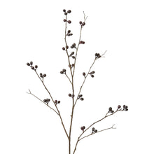 Bean Branch Burgundy