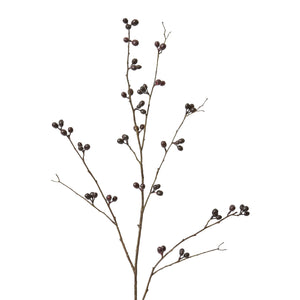 Bean Branch Burgundy