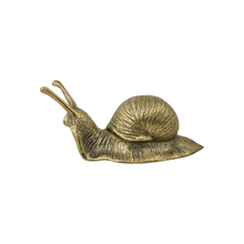 Brass Snail