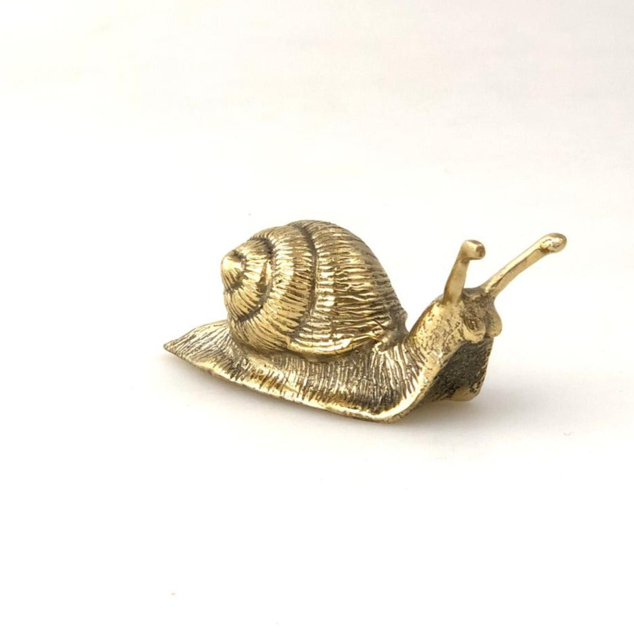 Brass Snail