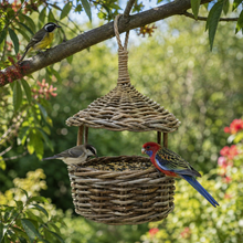 Aviary Bird Feeder