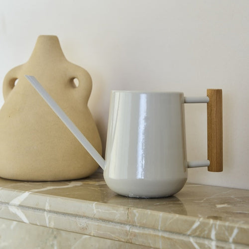 Collector Indoor Watering Can