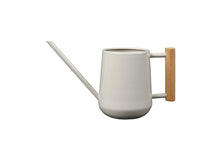 Collector Indoor Watering Can