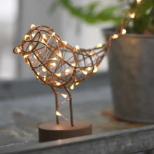 Copper LED Robin