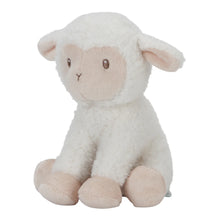 Cuddle Sheep