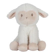 Cuddle Sheep