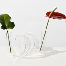 Clear glass vase with two plants, one with a red leaf and the other with green leaves, on a white background.
