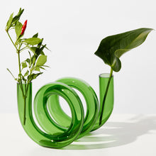 Spiral green glass vase with plants on a white background