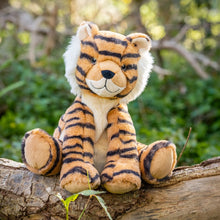 Tesh the Tiger