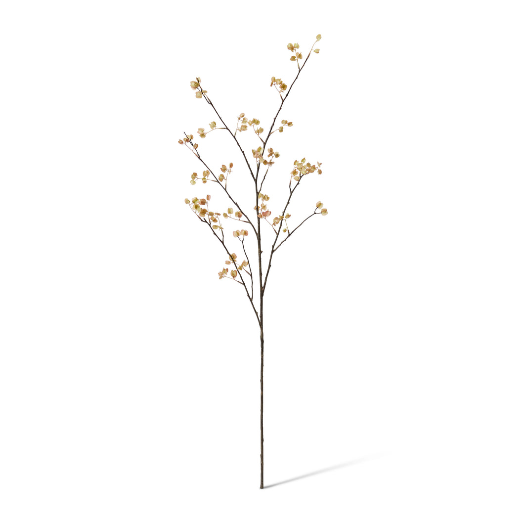 Elm Seeding Spray Soft Pink