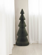 Evergreen Tree Olive 180cm
