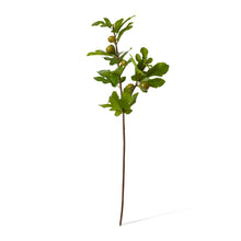 Fig Branch Green