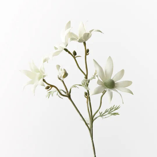 Flannel Flower Pick