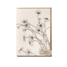 Flannel Flower Greeting Card