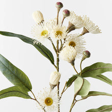 Flowering Eucalyptus Spray