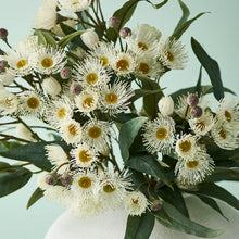 Flowering Eucalyptus Spray