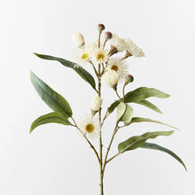 Flowering Eucalyptus Spray