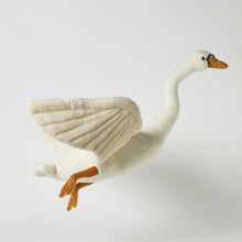 Flying Swan
