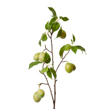 Fruit Branch Green