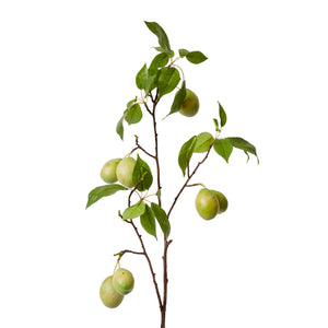 Fruit Branch Green