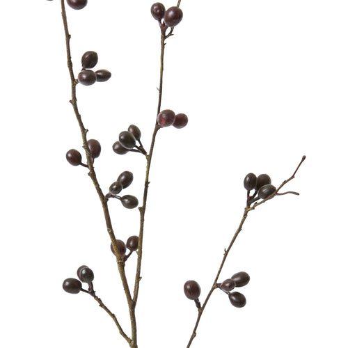 Bean Branch Burgundy