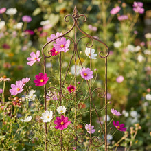 Ornamental iron garden trellis/panel within field of flowers