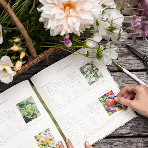 Heirloom Gardening Journal Hydrangeas