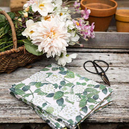 Heirloom Gardening Journal Hydrangeas