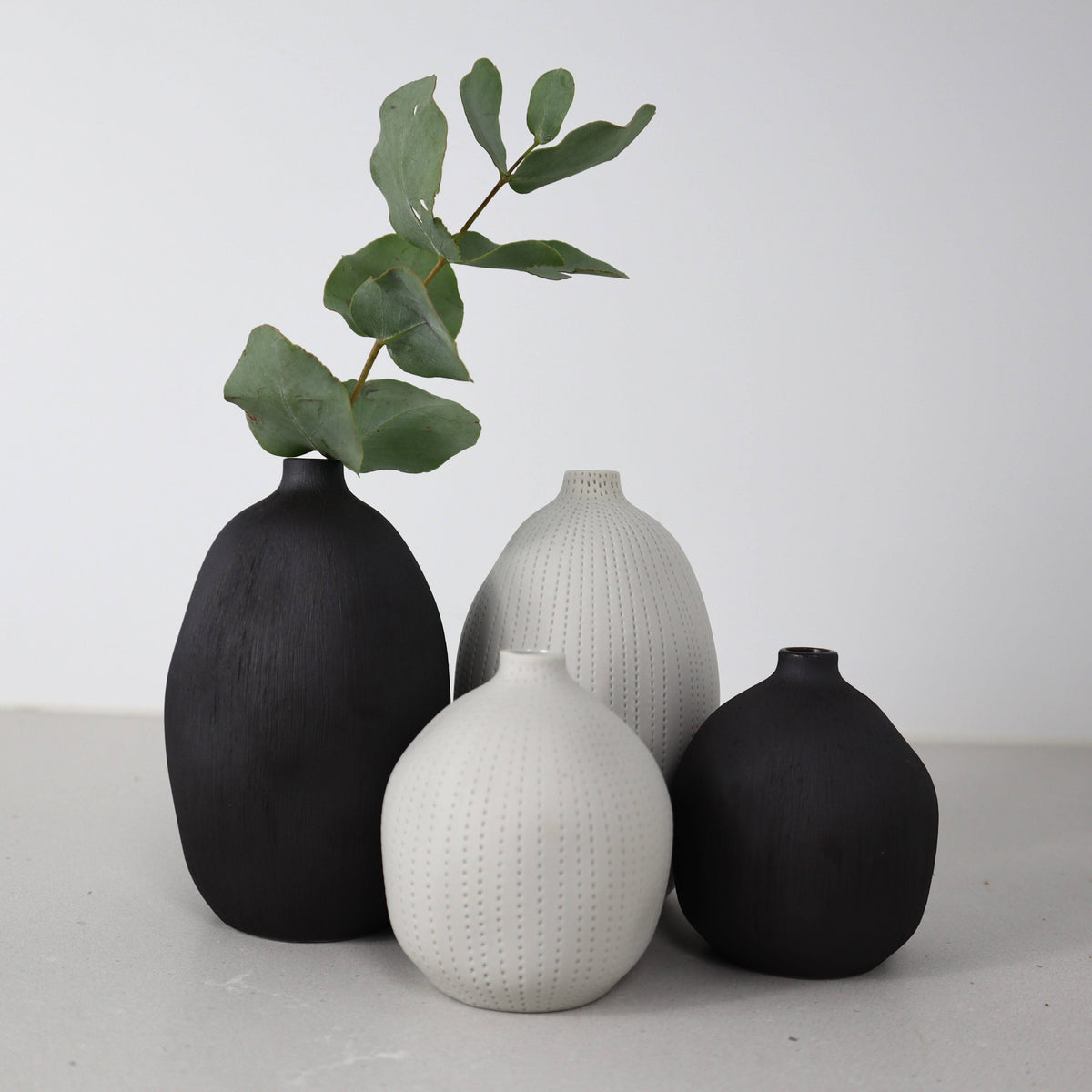 Cucumis Vase
