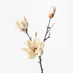 Japanese Magnolia Cream