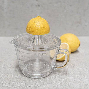 Citrus Juicer