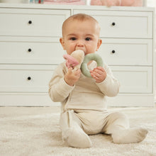 Ladybird Rattle