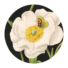 Compact Mirror