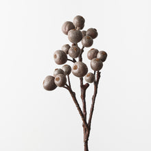 Loquat Spray
